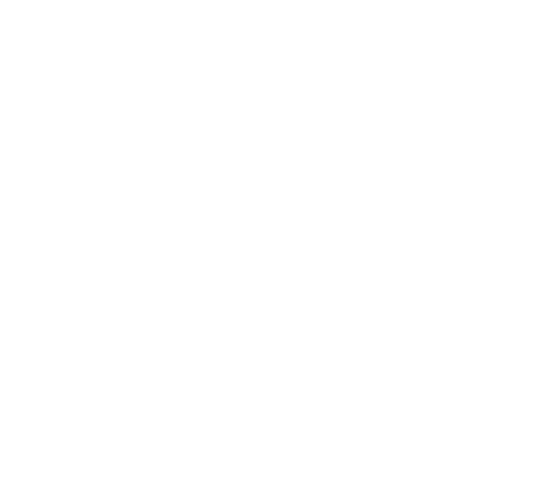 Logo FEG